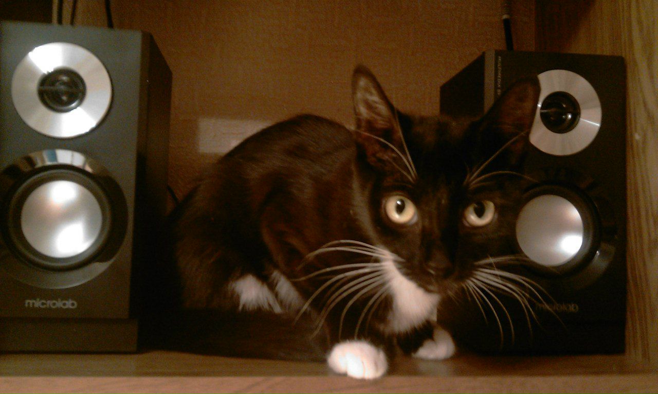 Юлиана Медникова | Красноярск