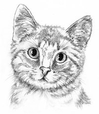 Анна Курочкина ☜♡☞  обояшка ☜♡☞ | Электросталь