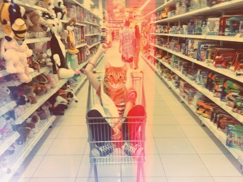 Виктория Чайковская | Санкт-Петербург