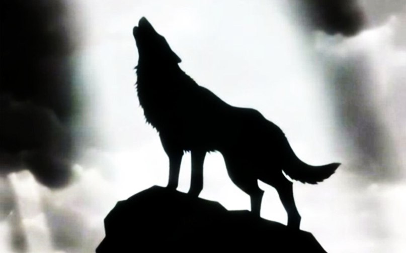 Николай Харевич | Москва