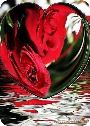 Тата Тата, Россия, Краснодар