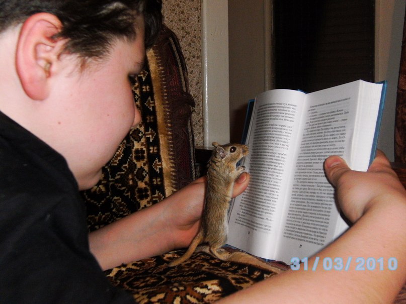 Александр Лонкин | Москва