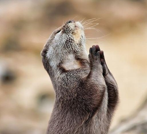 Tanya Garabadjiu | Кишинев