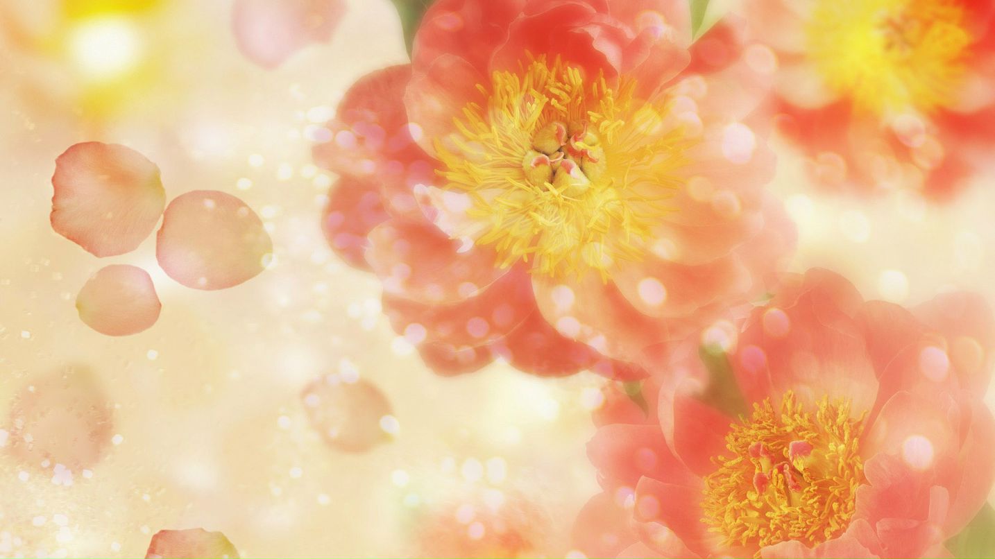 Галина Нестерук Galactica | Ростов-на-Дону