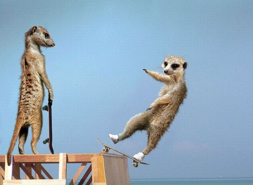 №9, Марсель Гафаров, 42 года, Днепр (Днепропетровск) №9, Марсель Гафаров, 42 года, Днепр (Днепропетровск)