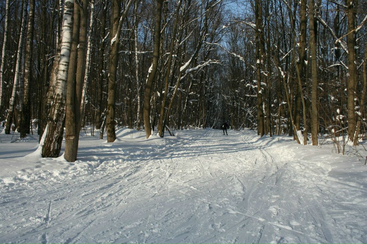 Алексей Чупарнов | Тула
