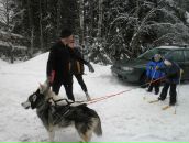 №9 Светлана Ларионова 04.04: профиль, фото, статус - ВКонтакте