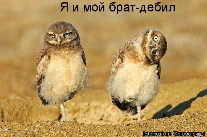 Александр Куликов Б@р@МирЧиК | Курск