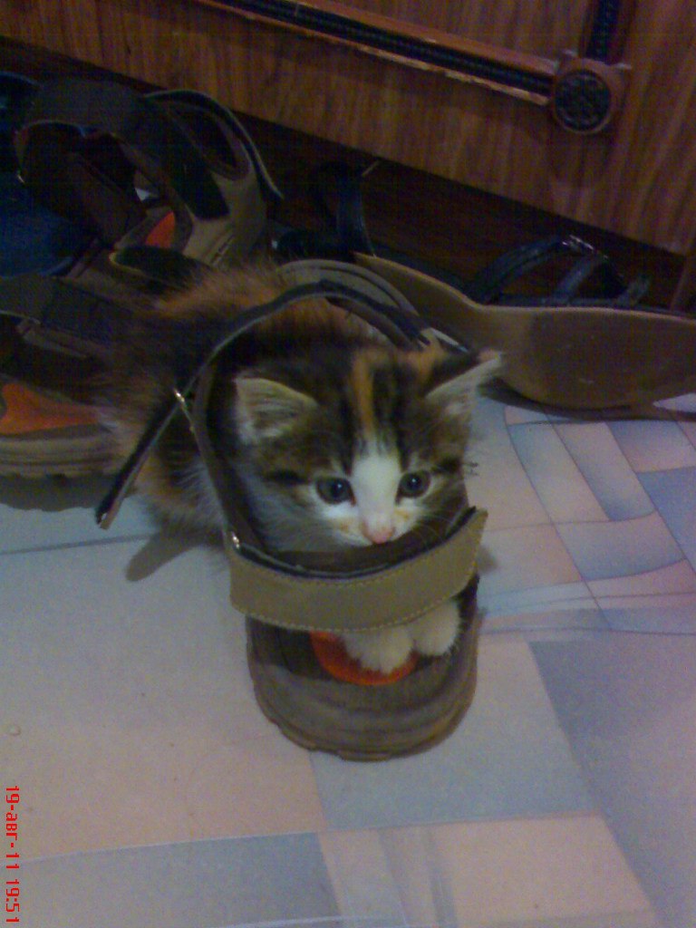 Ирина Регнер | Киров