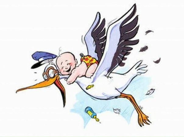 №11, Олеся №11, Олеся