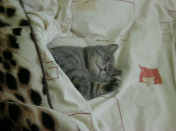 №42, Марина Михальченко, Киев №42, Марина Михальченко, Киев