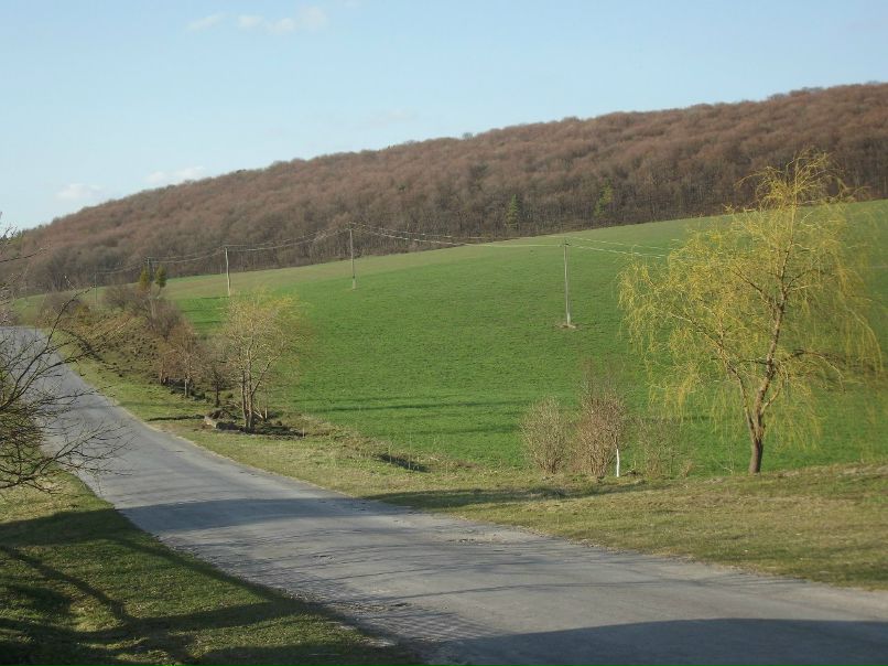 Ігор Савчук ОРЕСТОВИЧ | Бережаны
