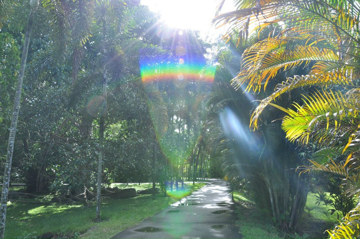 Юлия Тюфтяева | Москва