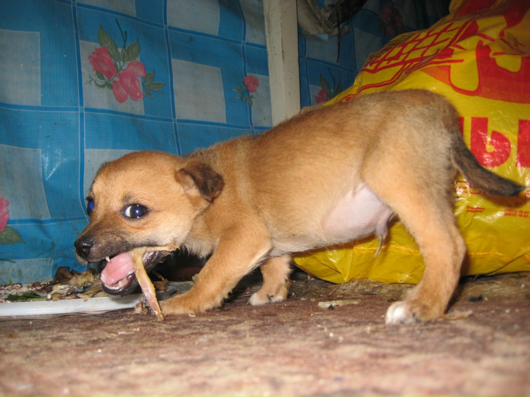 Александр Берлименко | Белгород-Днестровский