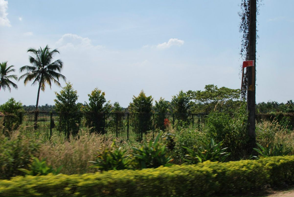 Константин Аблов | Алматы