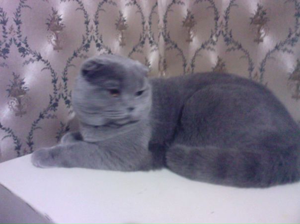 №124, Юлия Фролова, Воронеж №124, Юлия Фролова, Воронеж