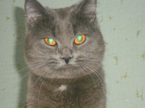 №9, Никита Кафисов №9, Никита Кафисов