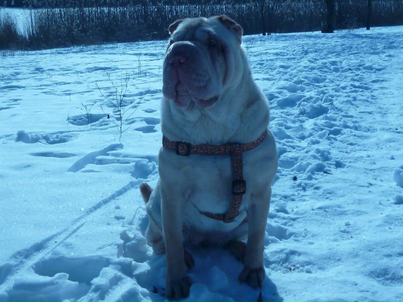 Евгений Титов | Кривой Рог