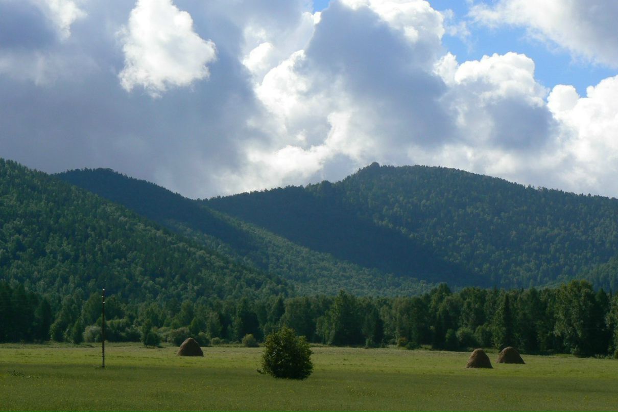 Вячеслав Рощин | 