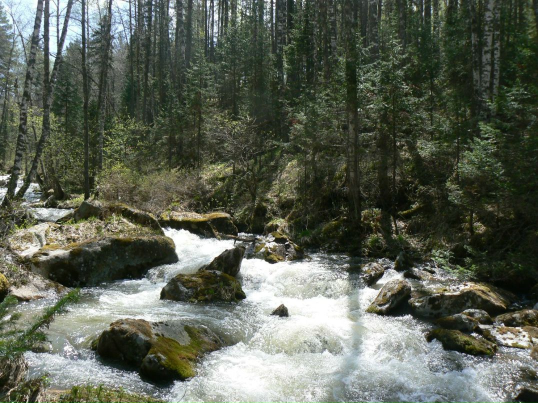 Вячеслав Рощин | 