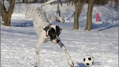 №61, Olga Franskevich, 36 лет, Destin, США №61, Olga Franskevich, 36 лет, Destin, США