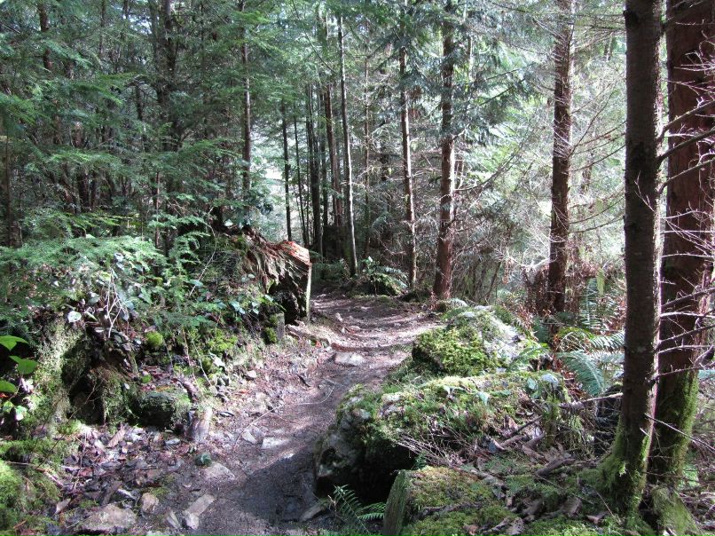 Настенька Осипова | Москва