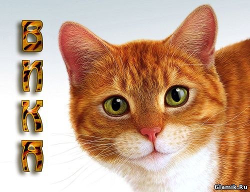 Катя Лукьянова киса** | Нурлат