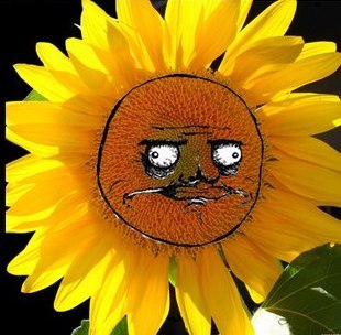 Олег Гусаров | Одесса