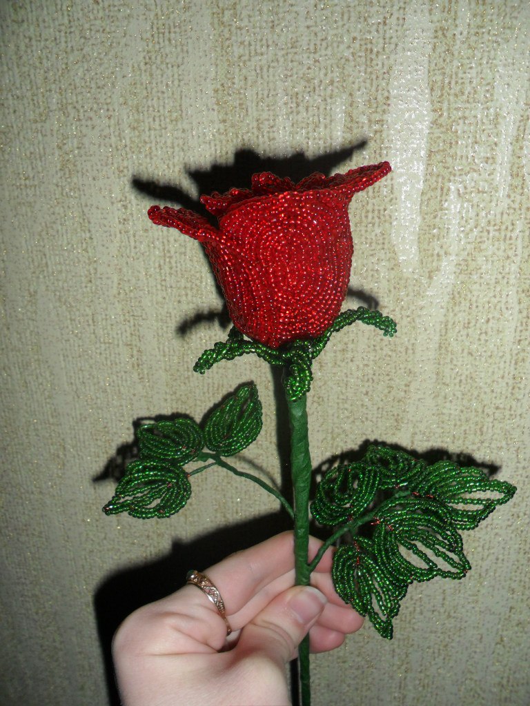 Марина Ткаченко | Черкассы