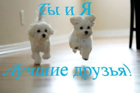 Алина Рудакова | Вологда