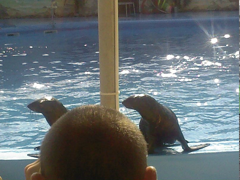 Сергей Букин | Макеевка