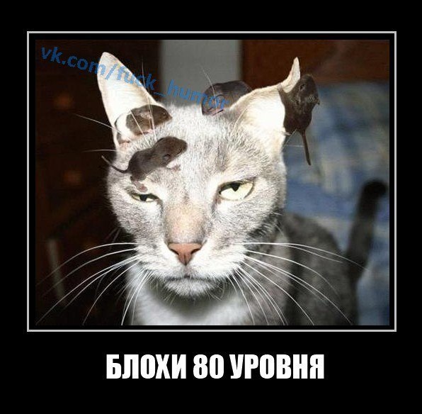 Марина Борисова | Санкт-Петербург