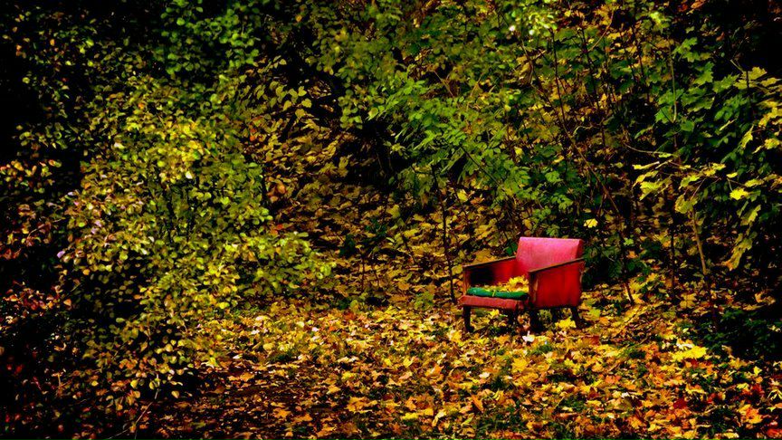 Анастасия Сергеевна | Санкт-Петербург