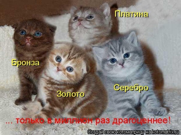 Джавад Искендеров | Донецк