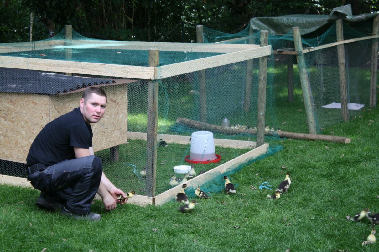 Светлана Журба | Antwerpen