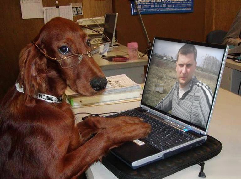 Алексей Куршаков | Котельнич