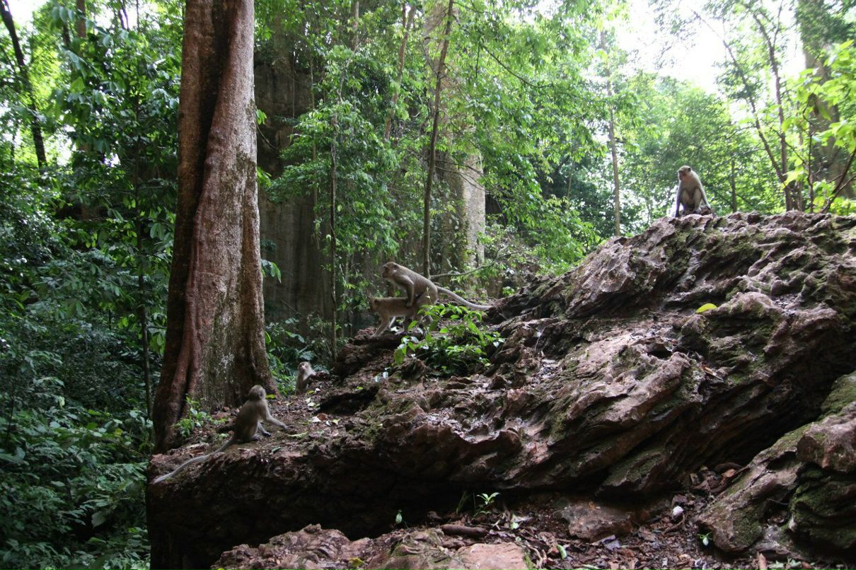 Александр Ковалёв | Paris