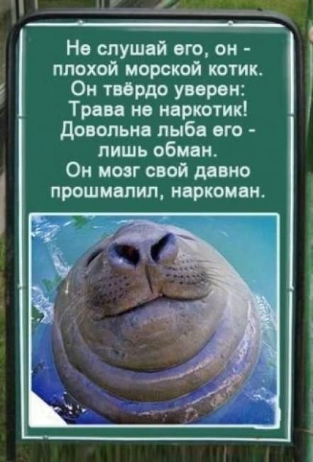 Анна Урденко-Лапковская Кисиус | Симферополь