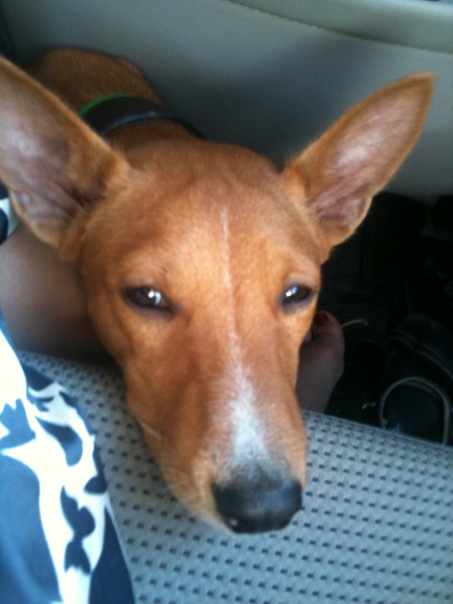 №45, Irina Parshina №45, Irina Parshina