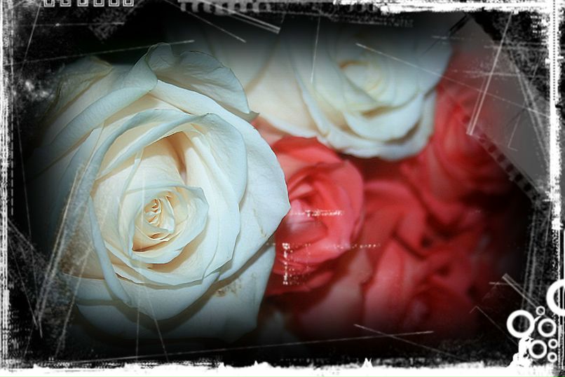 Елена Силаева | Юхнов