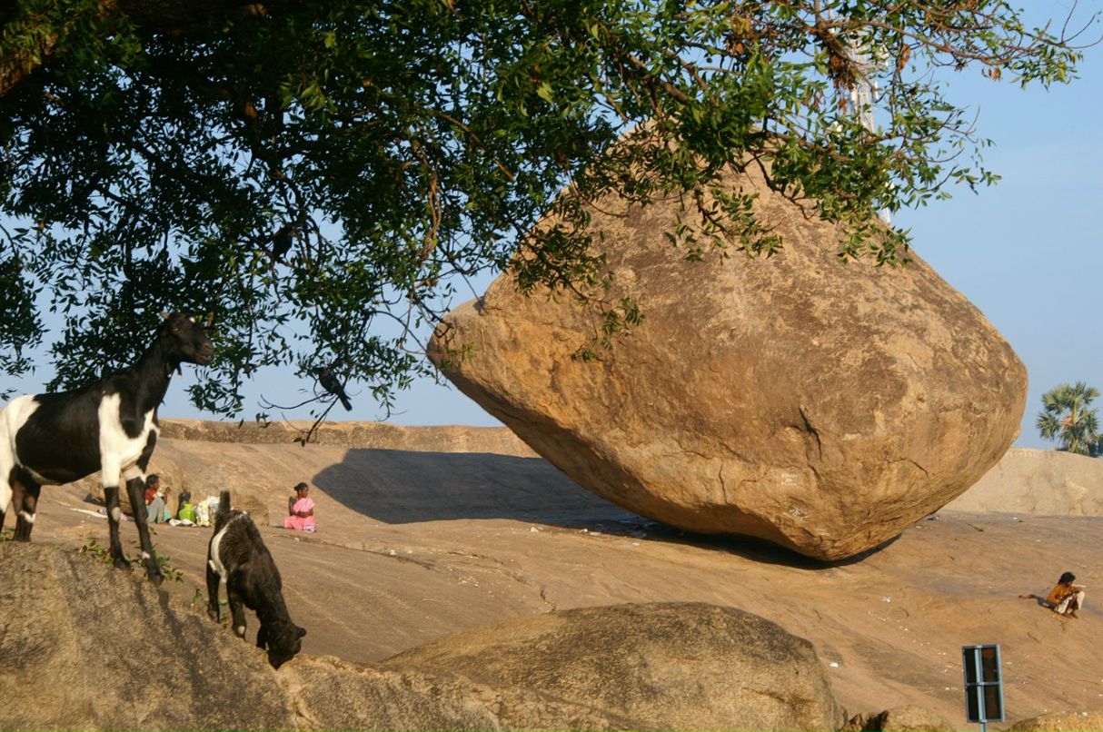 Ольга Кужель | Киев