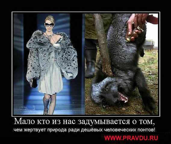 Виктор Шаталов | Донецк