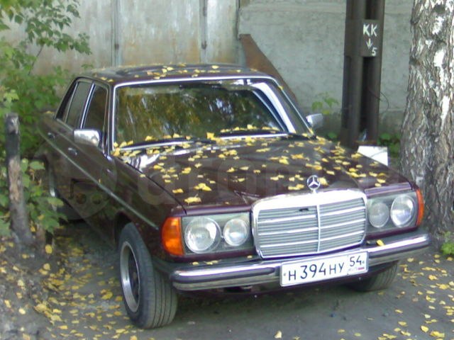 Леонид Побегайло | Новосибирск