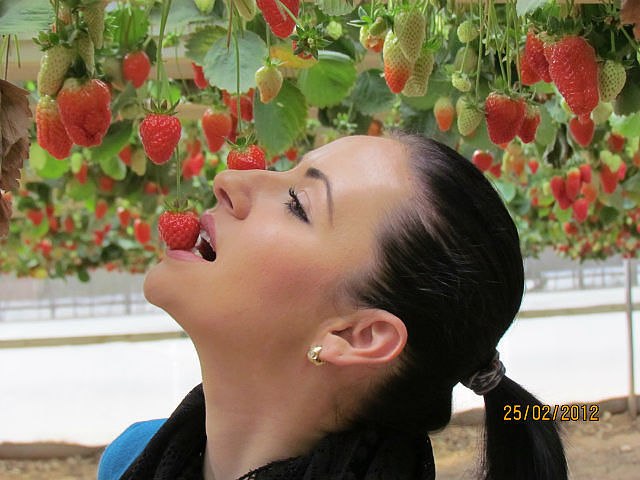 Ирина Зарицкая | Миргород