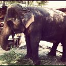 №14 Виктория Гришина 11.01.1988: профиль, фото, статус - ВКонтакте №14 Виктория Гришина 11.01.1988: профиль, фото, статус - ВКонтакте