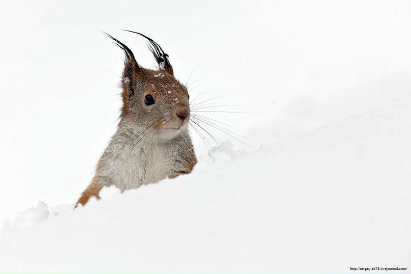 Владимир Шаблонин | Москва
