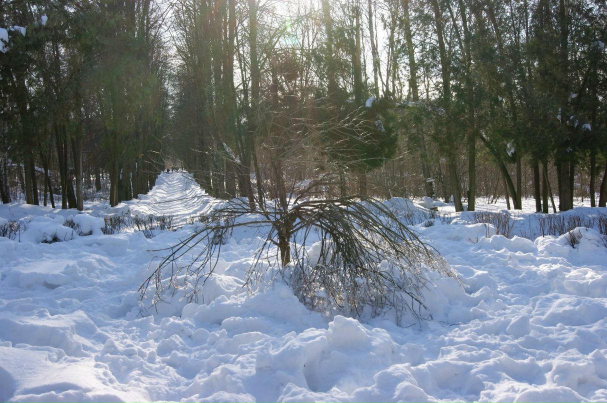 Мария Чудесникова Грейс | Москва