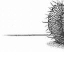 №47, Вера Милюхина, Тюмень №47, Вера Милюхина, Тюмень