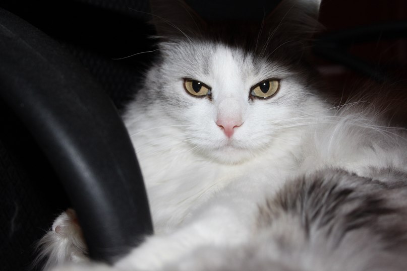 Егор Чистяков | Москва