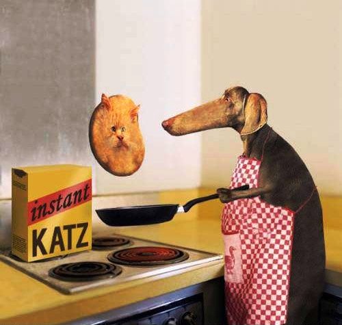 №117, Анита Лютвинская, Санкт-Петербург №117, Анита Лютвинская, Санкт-Петербург